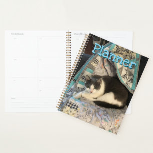 Grey and white cat planner