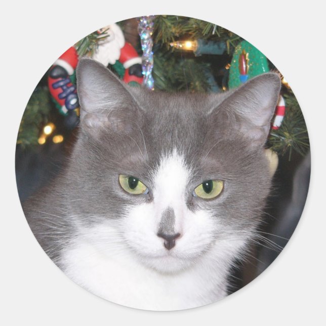 Grey and white Christmas kitty Classic Round Sticker (Front)