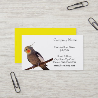 Grey and Yellow Cockatiel Pet Bird Colour Photo Business Card
