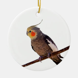 Grey and Yellow Cockatiel Pet Bird Colour Photo Ceramic Tree Decoration