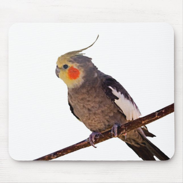 Grey and Yellow Cockatiel Pet Bird Colour Photo Mouse Pad (Front)