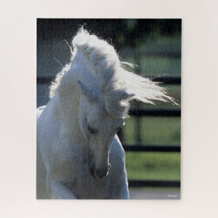 Grey Andalucian Bucking Headshot Backlit Jigsaw Puzzle