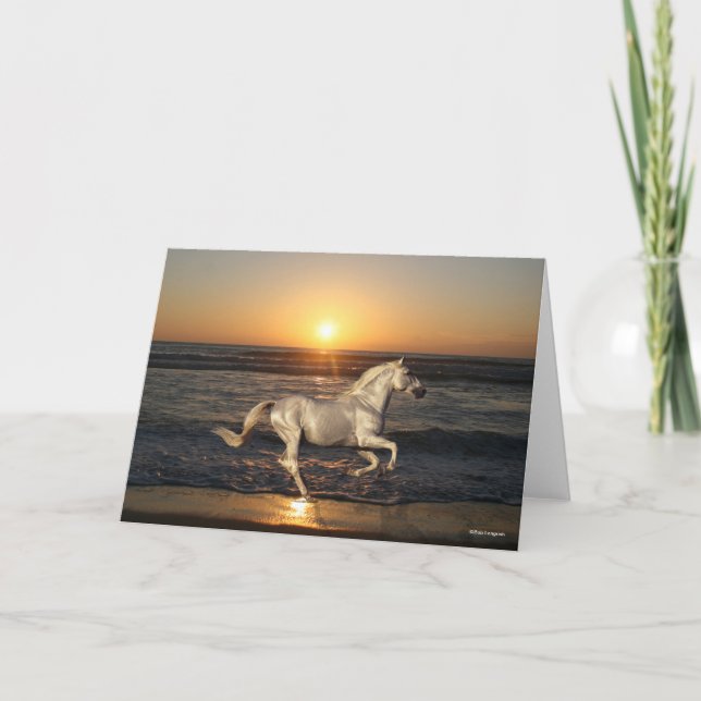Grey Andalucian Running On Beach By Sea Card (Front)