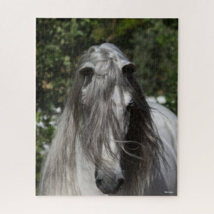 Grey Andalucian Stallion Headshot Long Mane Jigsaw Puzzle