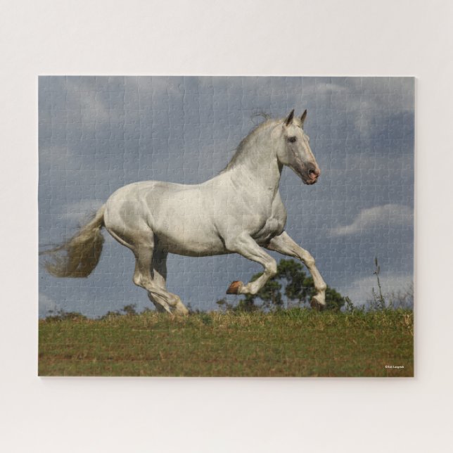 Grey Andalucian Stallion Running against Sky Jigsaw Puzzle (Horizontal)