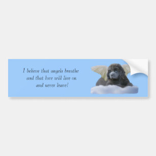 Grey Angel ~ I Believe Bumper Sticker