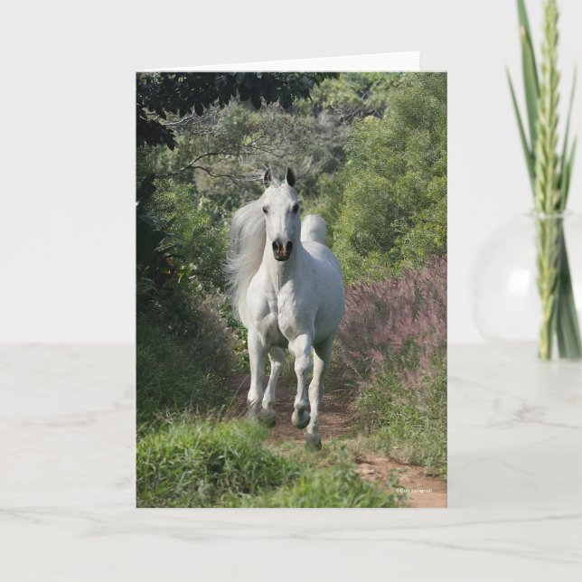 Grey Arab Running On Path With Flowers Card (Front)