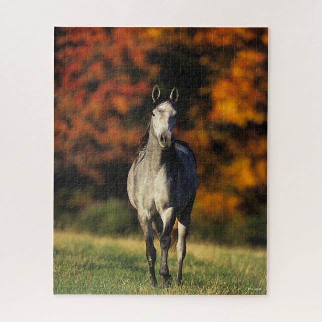 Grey Arab Standing Autumnal Background Jigsaw Puzzle (Vertical)