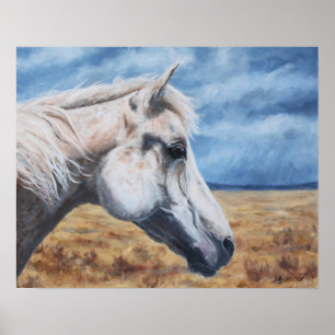 Grey Arabian Horse Fine Art Print