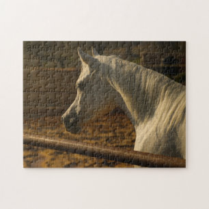 Grey Arabian Horse Jigsaw Puzzle