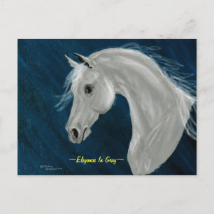 Grey Arabian Horse Postcard