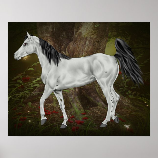 Grey Arabian Horse Poster (Front)