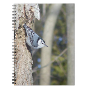 Grey Bird Photograph Spiral Notebook