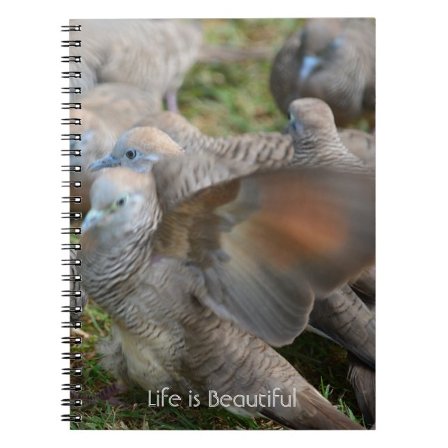 Grey Birds Kauai (my photography) Notebook (Front)