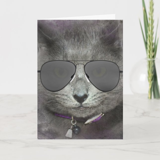 Grey Birthday Cat with Aviator Sunglasses  Card (Front)