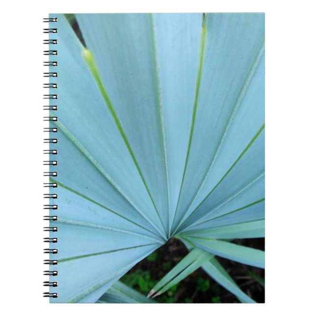 Grey Bismarck Palm Tree Close Up Notebook (Front)