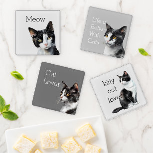 Grey Black White Kitty Cat Coaster Set