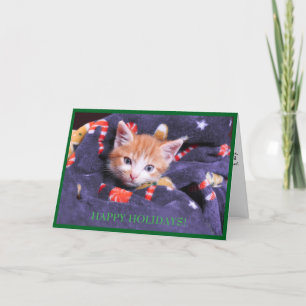 Grey Blanket Cat Orange Kitten Holiday Card