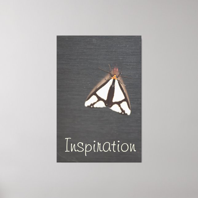 Grey Bold Insect Canvas Print (Front)