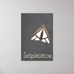Grey Bold Insect Canvas Print