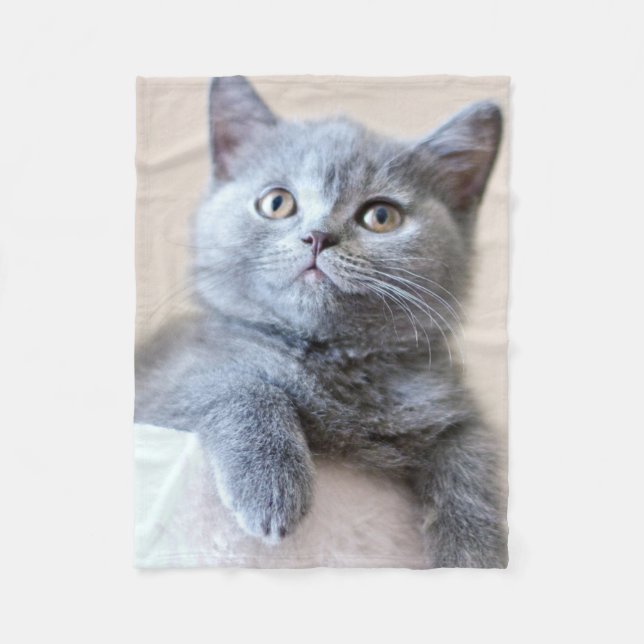 Grey British Shorthair Cat Fleece Blanket (Front)