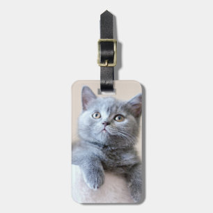 Grey British Shorthair Cat Luggage Tag