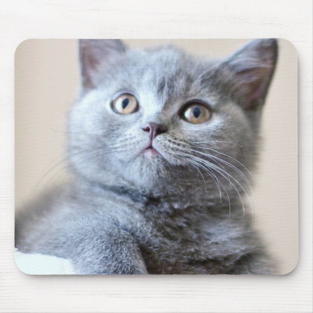 Grey British Shorthair Cat Mouse Pad (Front)