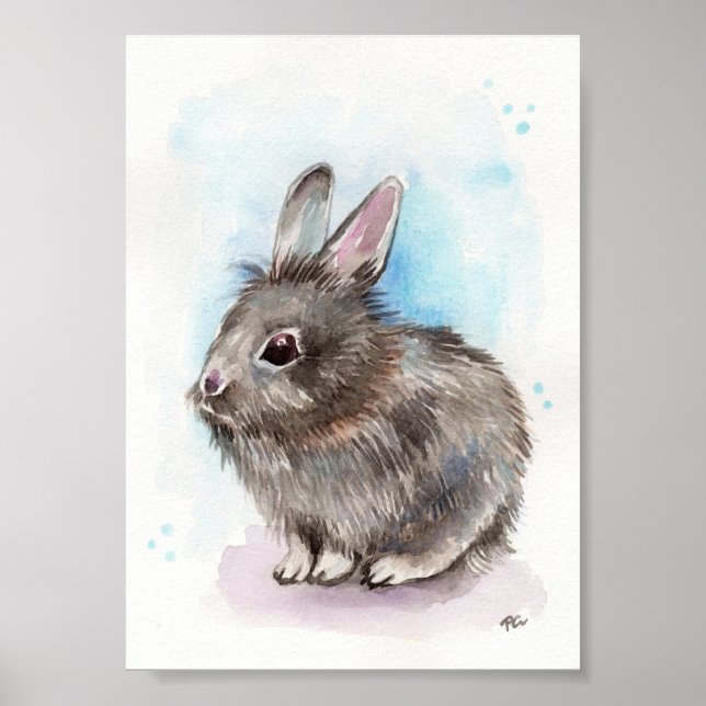 Grey Bunny Poster (Front)
