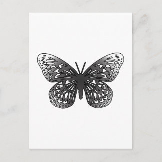 Grey Butterfly Postcard