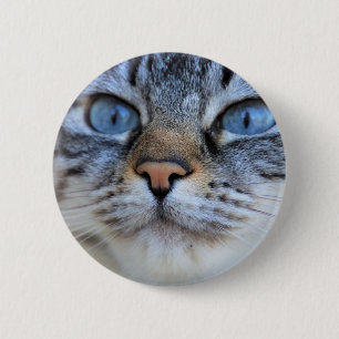 Grey Cat 6 Cm Round Badge