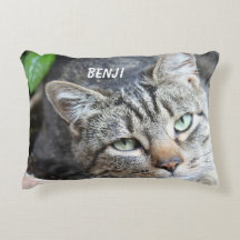 Grey Cat Accent Pillow