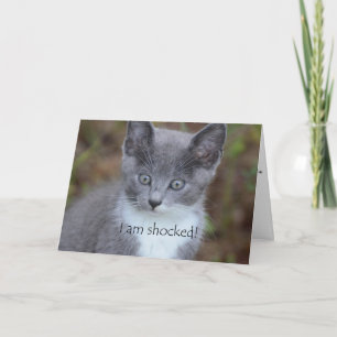 Grey Cat Belated Birthday Card