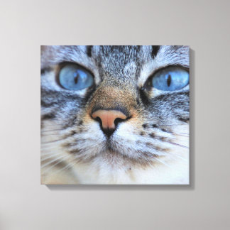 Grey Cat Canvas Print
