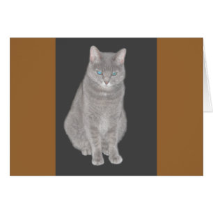 Grey Cat Card