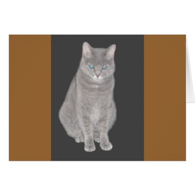 Grey Cat Card (Front Horizontal)