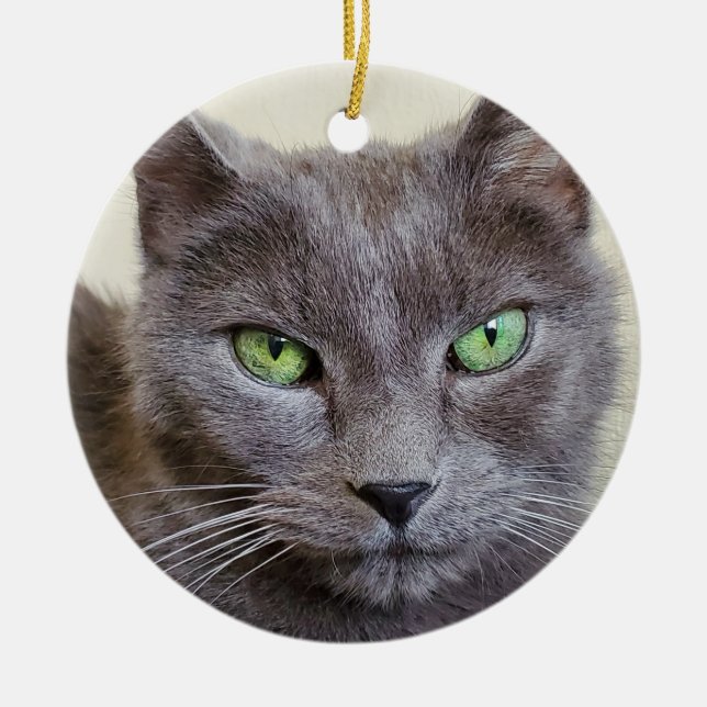 Grey cat  ceramic tree decoration (Front)
