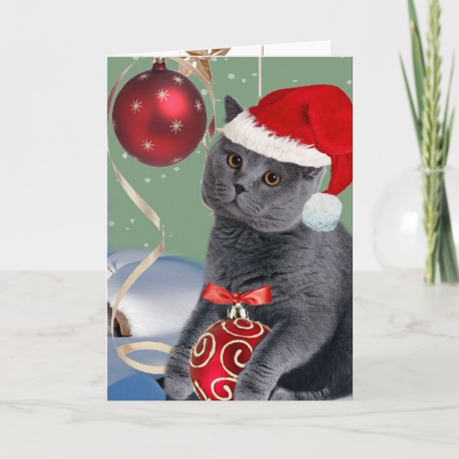 Grey Cat Christmas Play Cards (Front)