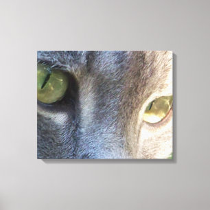 Grey cat face canvas print