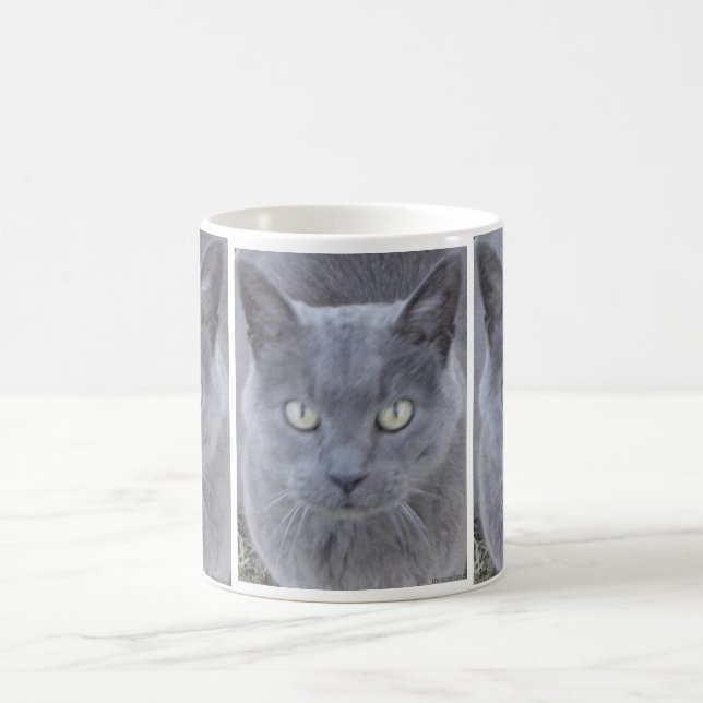Grey Cat Face Close-up Coffee Mug (Center)