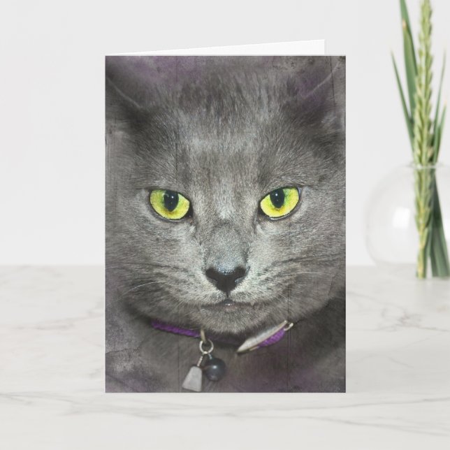 Grey Cat Getting Old Humour Card (Front)