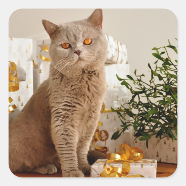 Grey Cat Golden Gifts Square Sticker (Front)