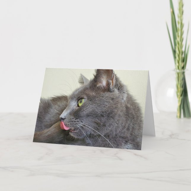 Grey cat greeting card (Front)
