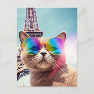 Grey Cat in Sunglasses in Paris Postcard