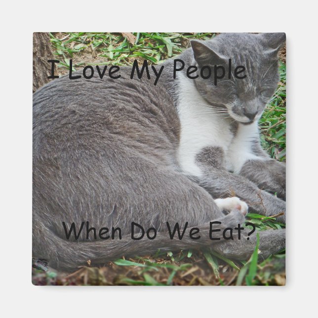 Grey Cat in the Park Magnet (Front)