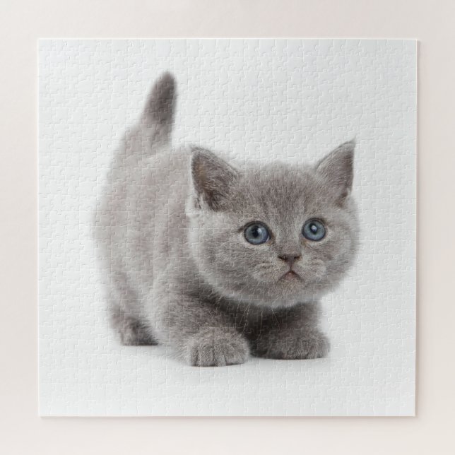 Grey Cat Jigsaw Puzzle (Horizontal)