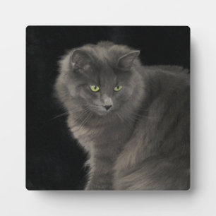 Grey Cat Long Hair Russian Blue Kitty Kitten Cute Plaque