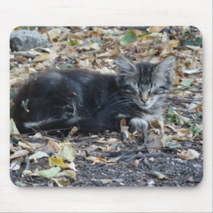 Grey Cat Mouse Pad