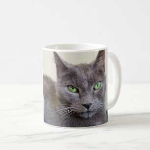 Grey cat mug
