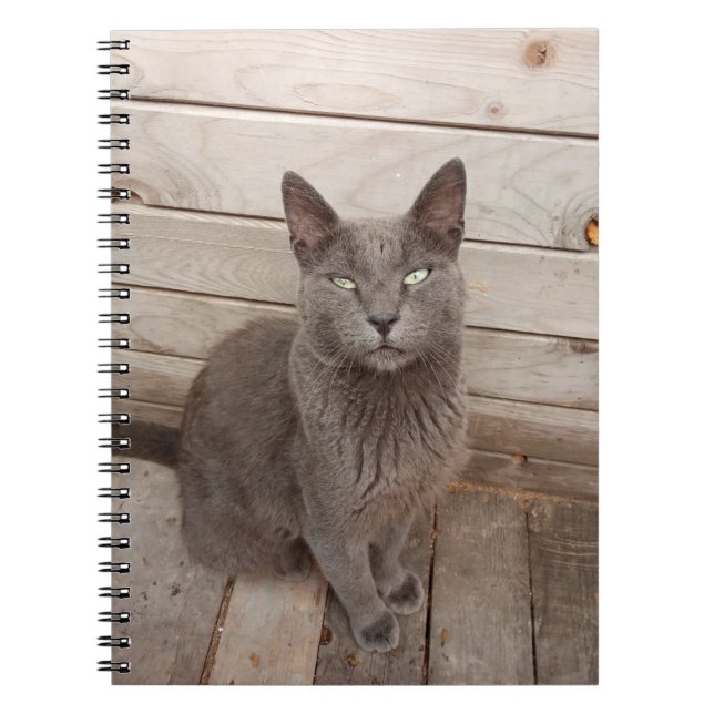 Grey Cat Notebook (Front)