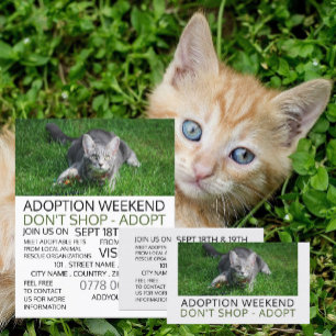 Grey Cat on Grass, Pet Adoption Event Advertising Flyer